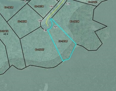 191 Bluebill Trail, Brunswick, GA 31523 - photo 5