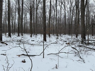 000000000 County Rd E, Mason, WI 54856 - photo 6