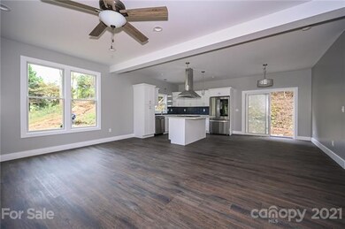 1376 Alexander Rd, Leicester, NC 28748 - photo 5