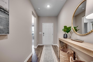 Entryway with dark hardwood / wood-style floors