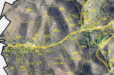 LOCATION ON TAX MAP WITH SATELLITE BACKG