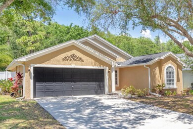 329 Tavernier Dr, Oldsmar, FL 34677 - photo 2