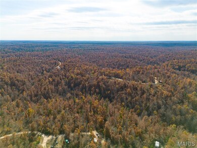 15682 Winding Trail, Birch Tree, MO 65438 - photo 4