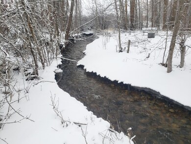 Chewelah Creek Frontage
