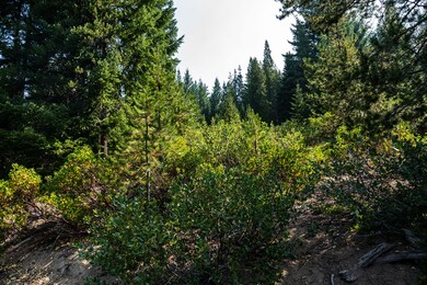 Crescent Lake Lot-12