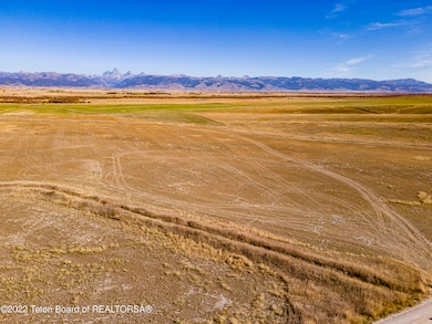 Sage Grouse-10