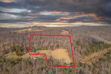 4038 Elihu Cabin Hollow Rd, Somerset, KY 42501 - photo 4