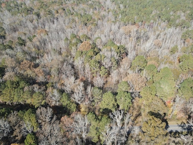 1597 Oconee Rd, Buckhead, GA 30625 - photo 3