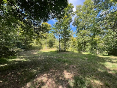 0 Old Sulphur Spring Rd, Columbia, KY 42728 - photo 2