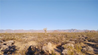 3501 S Wild Bill Rd, Yucca, AZ 86438 - photo 3