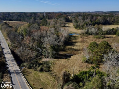 0001 Hwy 231, Vincent, AL 35178 - photo 4