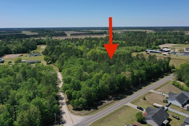 TBD Costie Allen Rd, Aynor, SC 29511 - photo 4