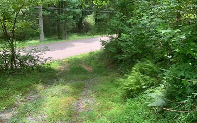 Additional View