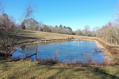 Pond