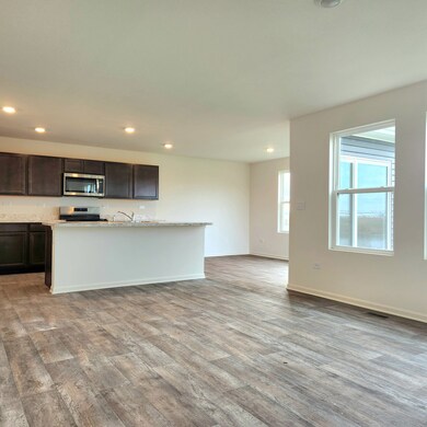 409 Monte Carlo Way, Joliet, IL 60436 - photo 3