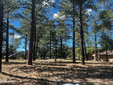 938 Torrey Pines Dr, Williams, AZ 86046 - photo 6