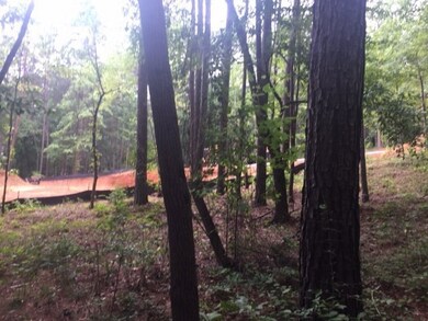 Lot 84 Peninsula Pointe, West Union, SC 29696 - photo 6