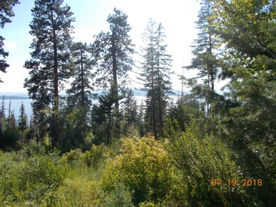 C-DSCN1354-Lot1