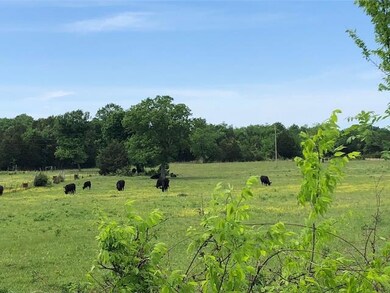 1310 Pickle Rd, Petersburg, TN 37144 - photo 2