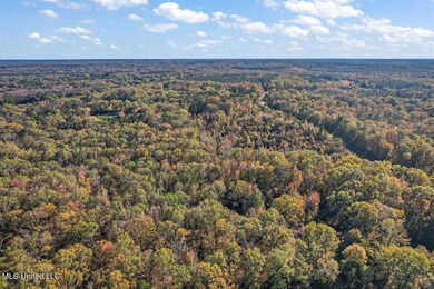 DJI_0341
