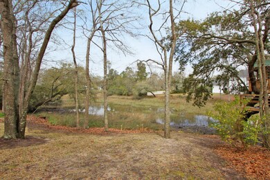 553 Planters Loop (42)0042.JPG