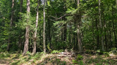 lot 36-C Diller Line Rd, Chesterville, ME 04938 - photo 2