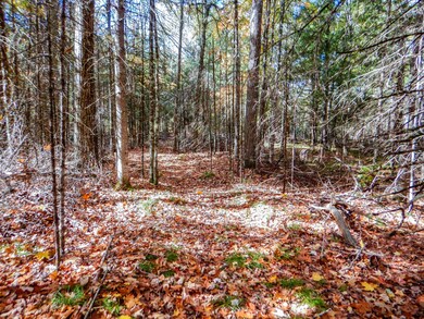 N16656 Dexter Rd, Beecher, WI 54156 - photo 6