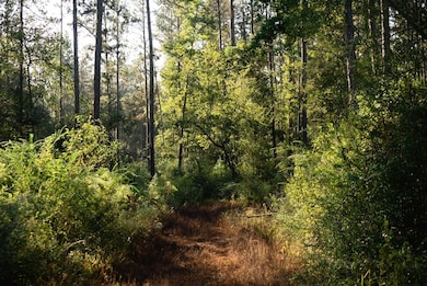 0 Grice Rd, Columbia, MS 39429 - photo 3