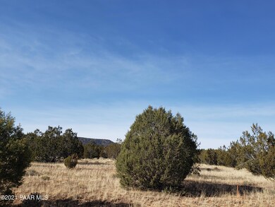 53128/78 N Cloudcroft Way, Seligman, AZ 86337 - photo 6