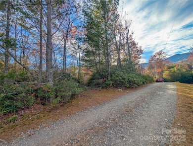View of gravel road frontage on Spar Mill Rd & mountains - lot is to left