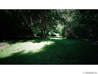 Yard.