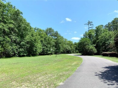 0 River Place Dr unit 1606396, Waverly, GA 31565 - photo 5