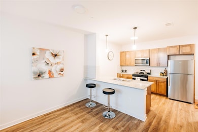 7051 Meadow Lake Blvd unit 4102, Austin, TX 78744 - photo 5