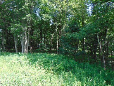 333 Goose Pond Rd, Lake Ariel, PA 18436 - photo 6