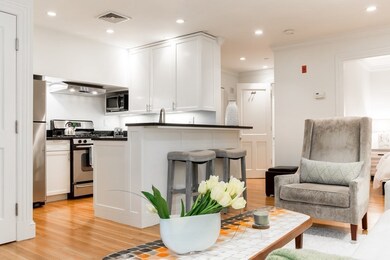 393 Commonwealth Ave unit Garden, Boston, MA 02115 - photo 3