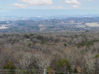 0 Georgia 136, Trenton, GA 30752 - photo 5