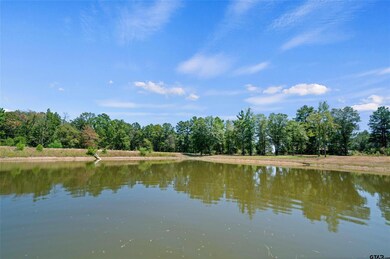 10636 County Road 214, Tyler, TX 75707 - photo 5