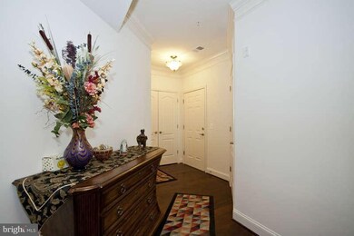 8616 Wintergreen Ct unit 403, Odenton, MD 21113 - photo 4