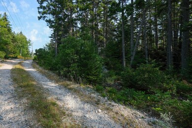 GeorgesWoodsland-9