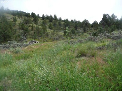 0 Colony Ln, Monument, OR 97864 - photo 6