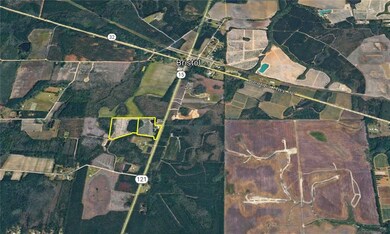 2203 N Hwy 121 Hwy, Blackshear, GA 31518 - photo 7