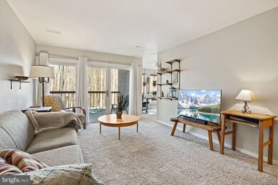 Chestnut Grove Condominiums unit 155, Reston, VA 20190 - photo 5