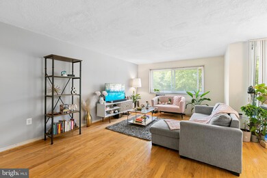 Takoma Overlook Condominium unit 214, Takoma Park, MD 20912 - photo 2