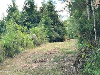 001 Farr Rd, Bolton, MS 39041 - photo 7