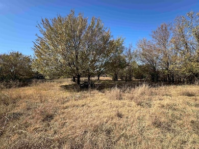 167021 N2900 Rd, Marlow, OK 73055 - photo 4