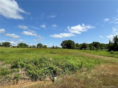 0 Ardoin Cove Rd unit SWL25002656, Iowa, LA 70647 - photo 4