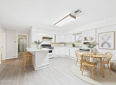 4525 Verot School Rd, Youngsville, LA 70592 - photo 6