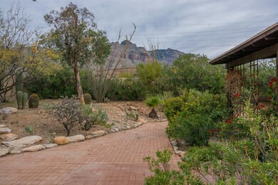 backyard-3