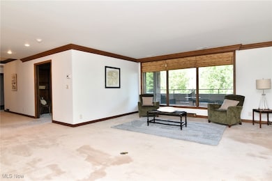5200 Three Village Dr unit 2FH, Cleveland, OH 44124 - photo 3