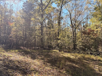 4570 Cabin Rd, McCalla, AL 35022 - photo 4